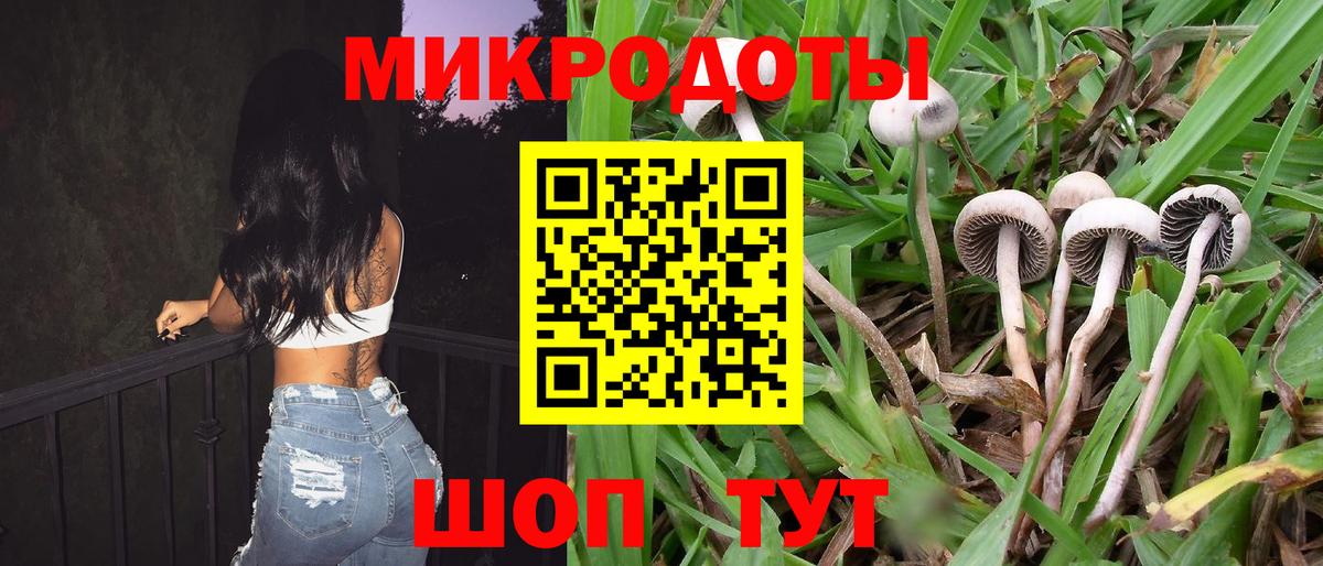 Псилоцибиновые грибы мицелий  Вход с VPN  Кыштым  Галлюциногенные грибы Cubensis 